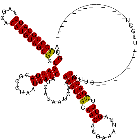 secondary structure