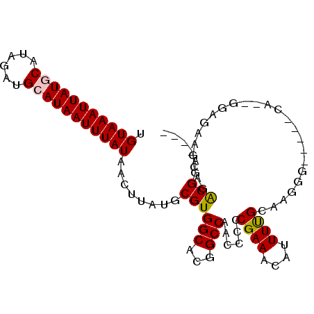 secondary structure