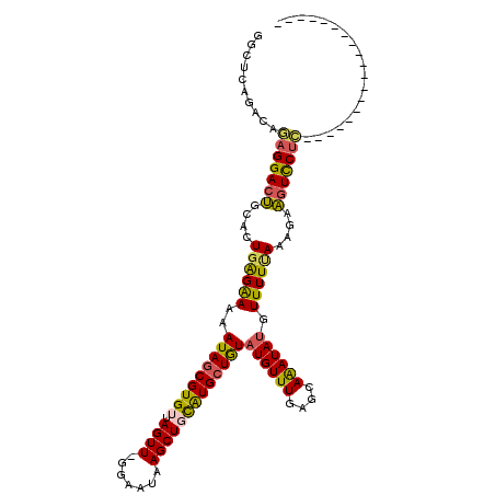 secondary structure