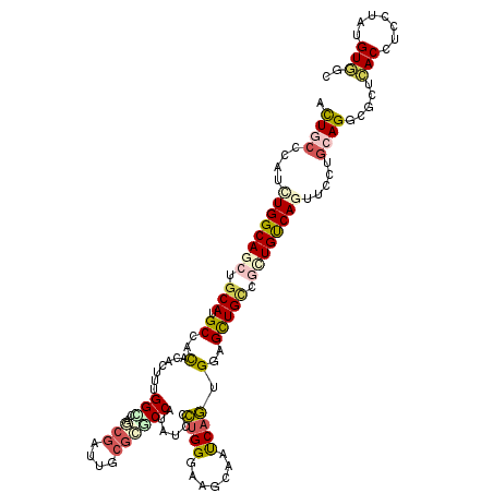 secondary structure