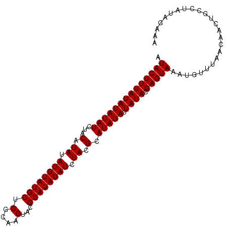 secondary structure