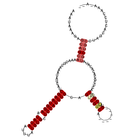 secondary structure