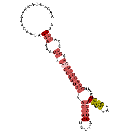 secondary structure