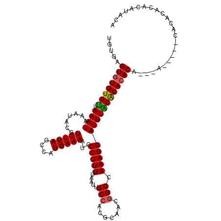secondary structure