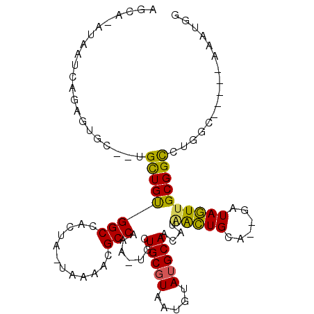 secondary structure