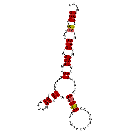 secondary structure