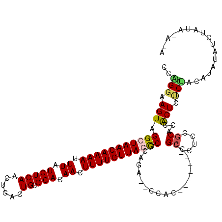 secondary structure
