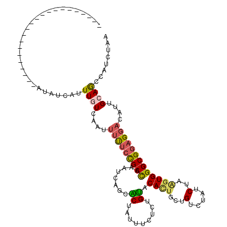 secondary structure