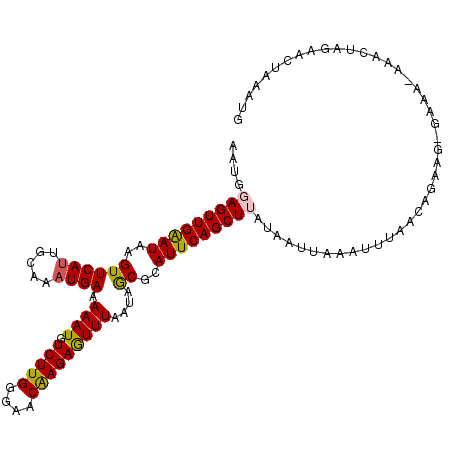 secondary structure