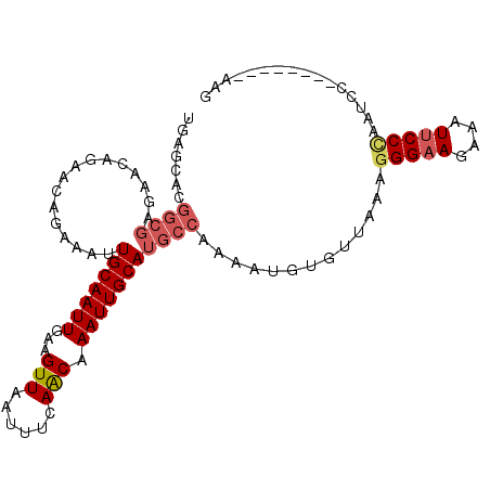 secondary structure