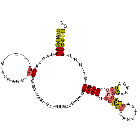 secondary structure