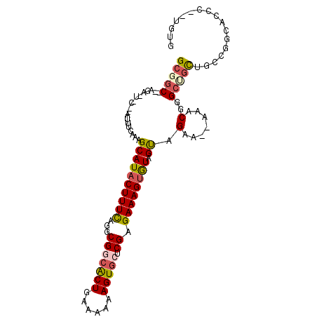 secondary structure