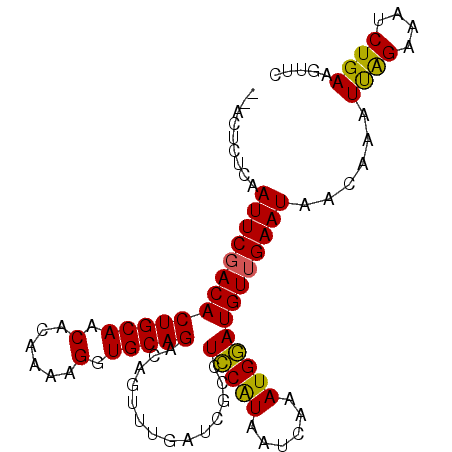 secondary structure