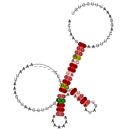 secondary structure