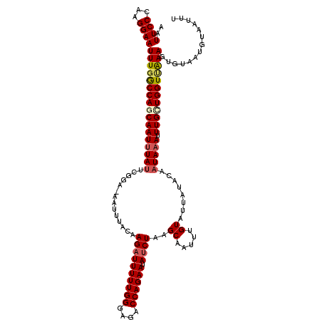 secondary structure