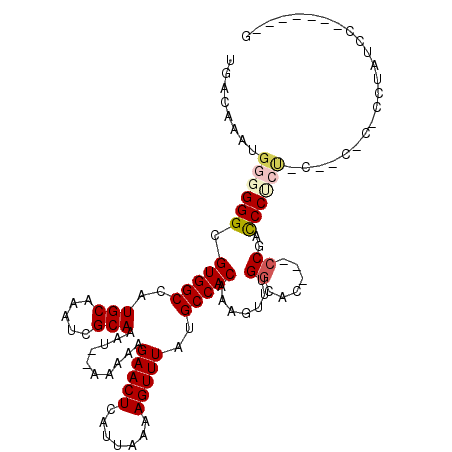 secondary structure