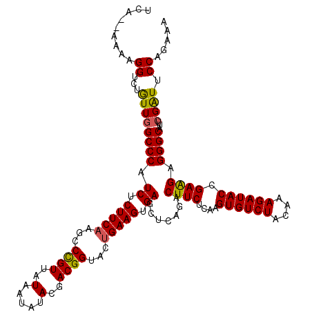 secondary structure