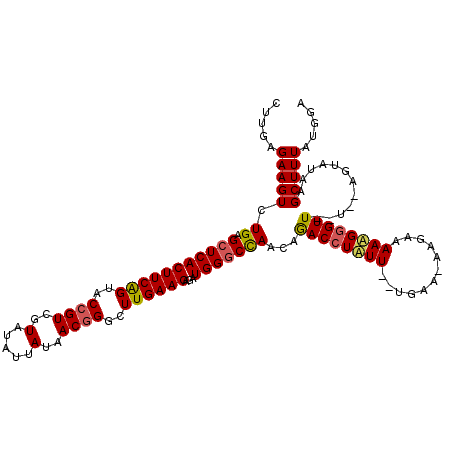 secondary structure