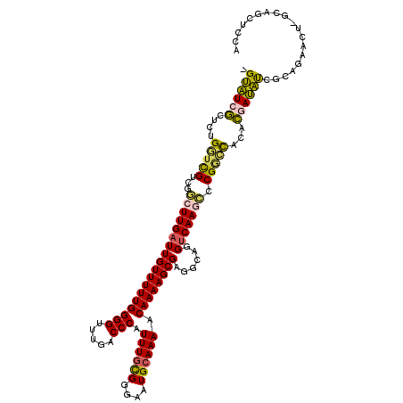 secondary structure