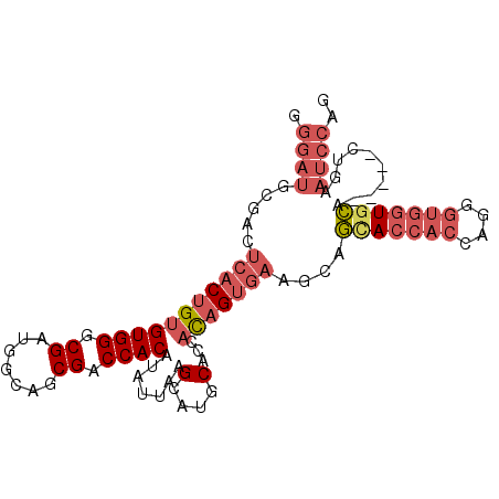 secondary structure
