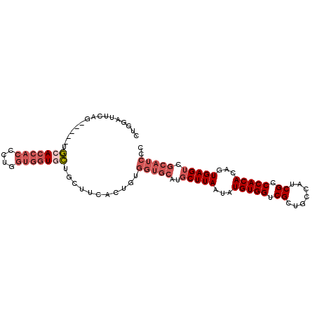 secondary structure