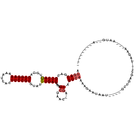 secondary structure