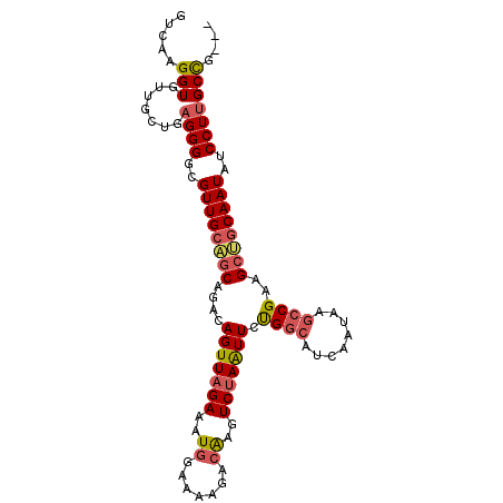 secondary structure