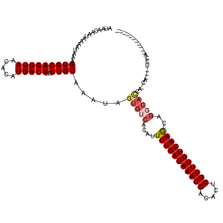 secondary structure