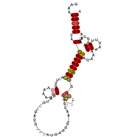 secondary structure