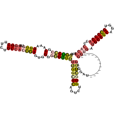 secondary structure