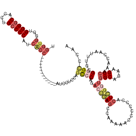 secondary structure