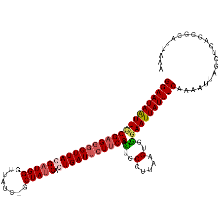 secondary structure