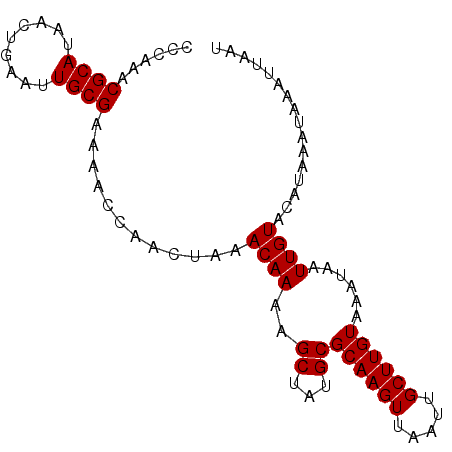 secondary structure