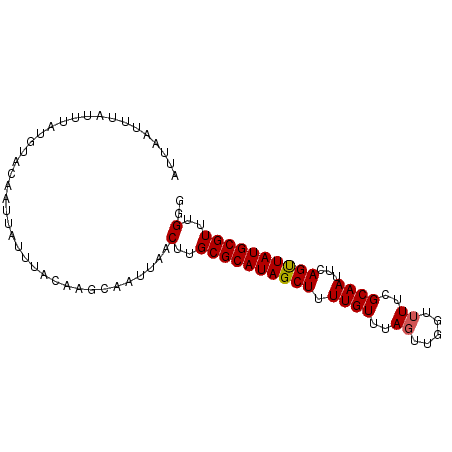 secondary structure