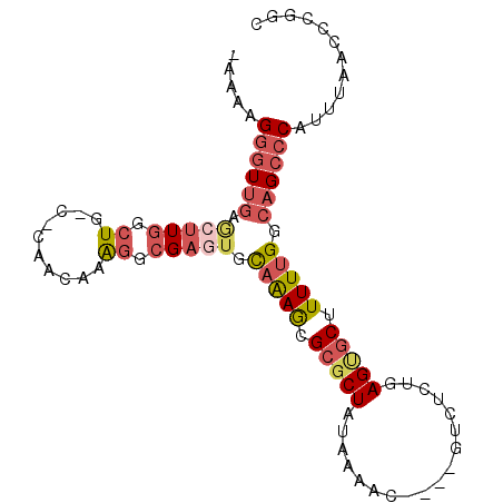 secondary structure