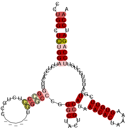 secondary structure