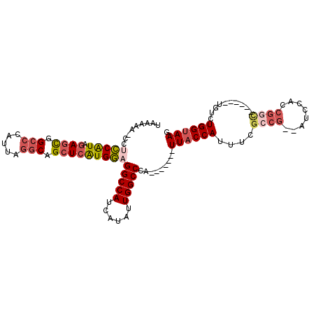 secondary structure
