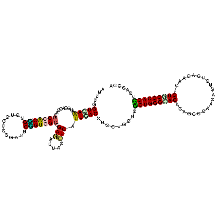 secondary structure
