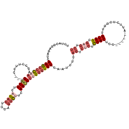 secondary structure