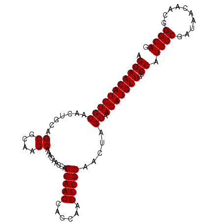 secondary structure