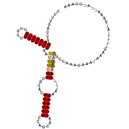 secondary structure