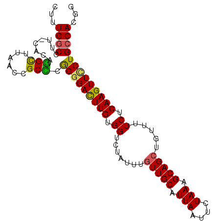 secondary structure