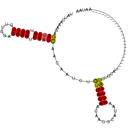 secondary structure