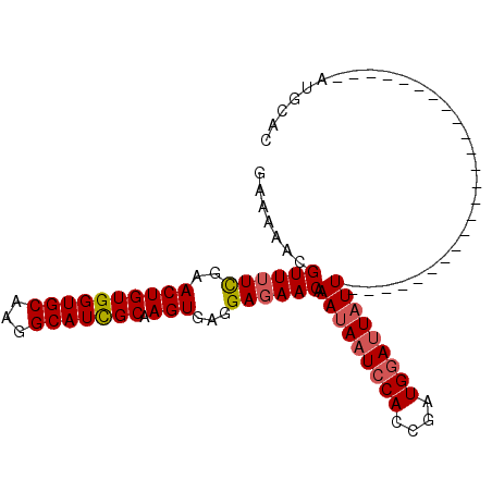 secondary structure