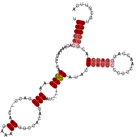 secondary structure