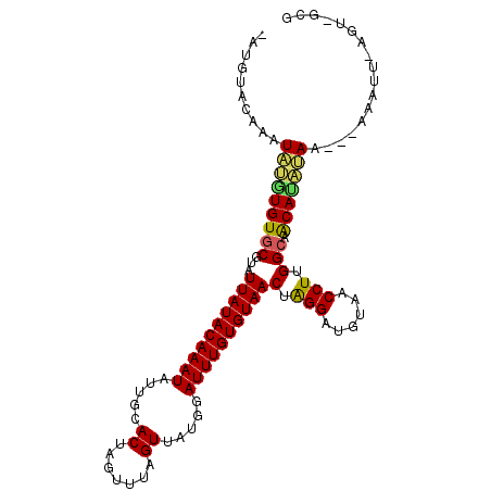 secondary structure