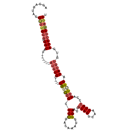 secondary structure