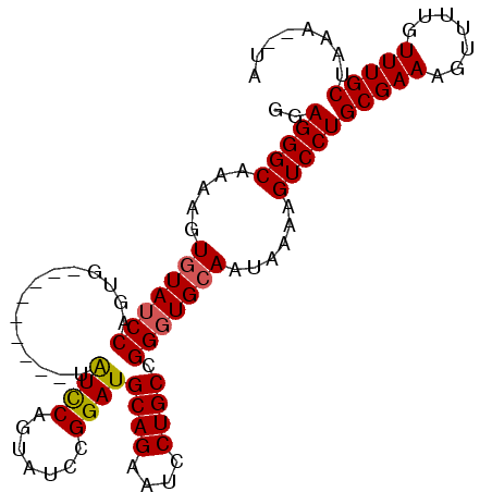 secondary structure