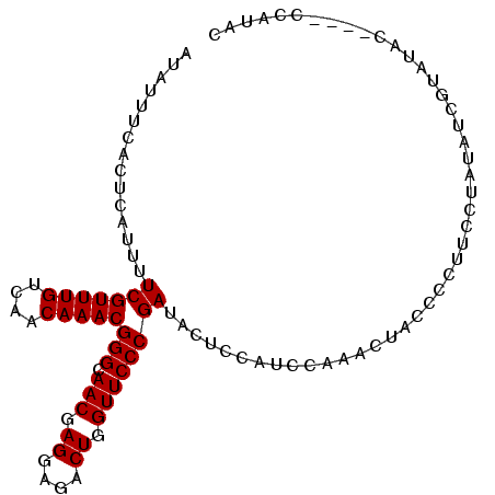 secondary structure