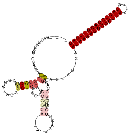 secondary structure